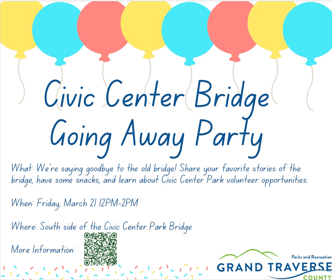 Screenshot 2025-03-17 095531