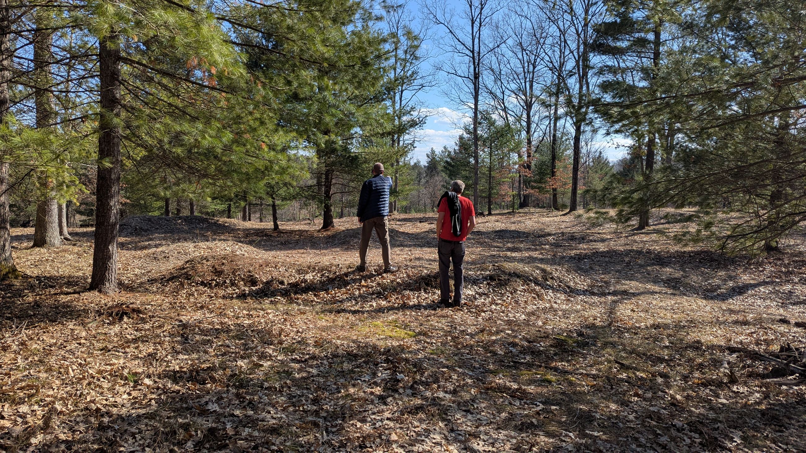 PXL_20250411_203229758