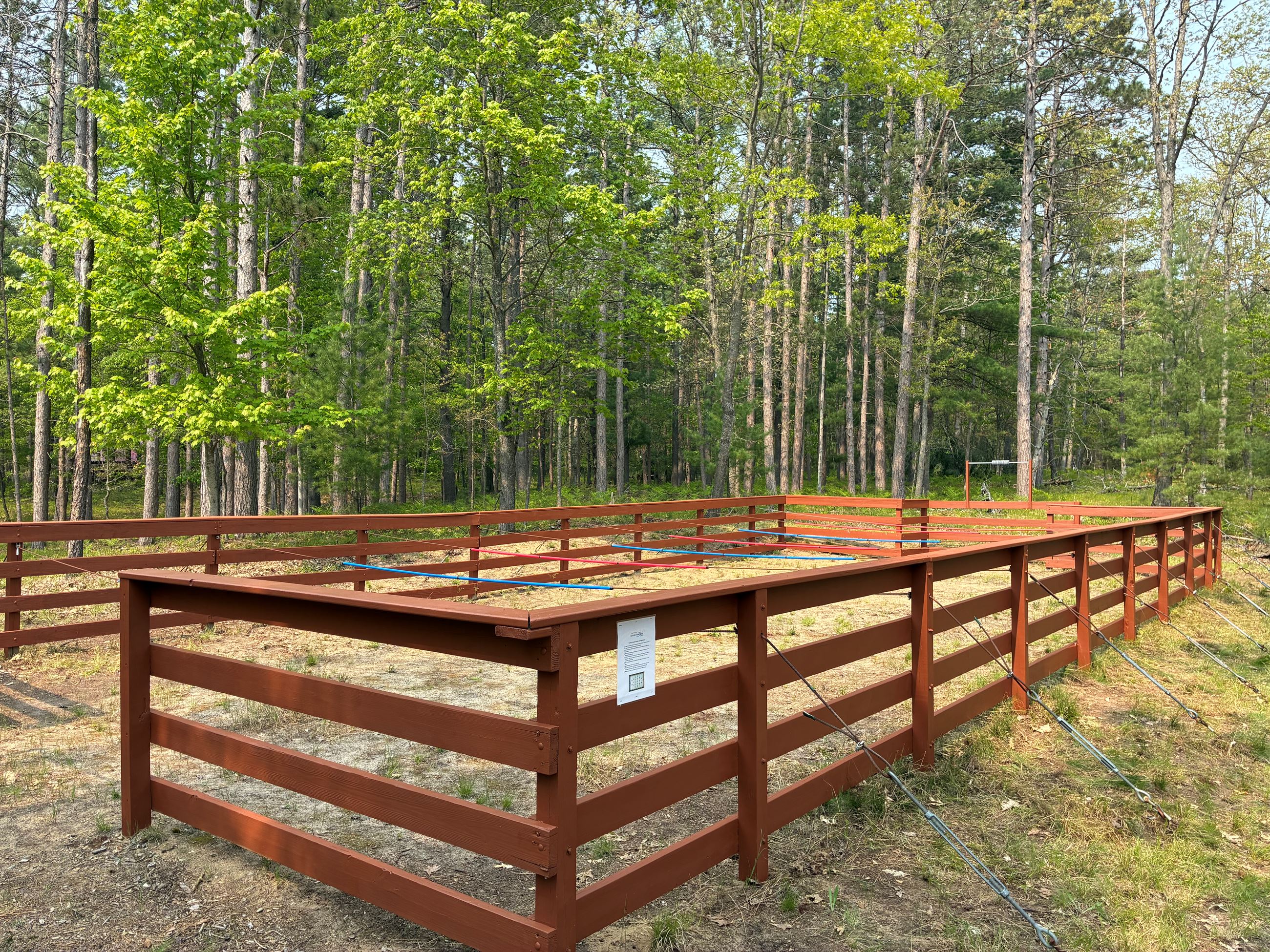 8. Sisterhood event 6.2