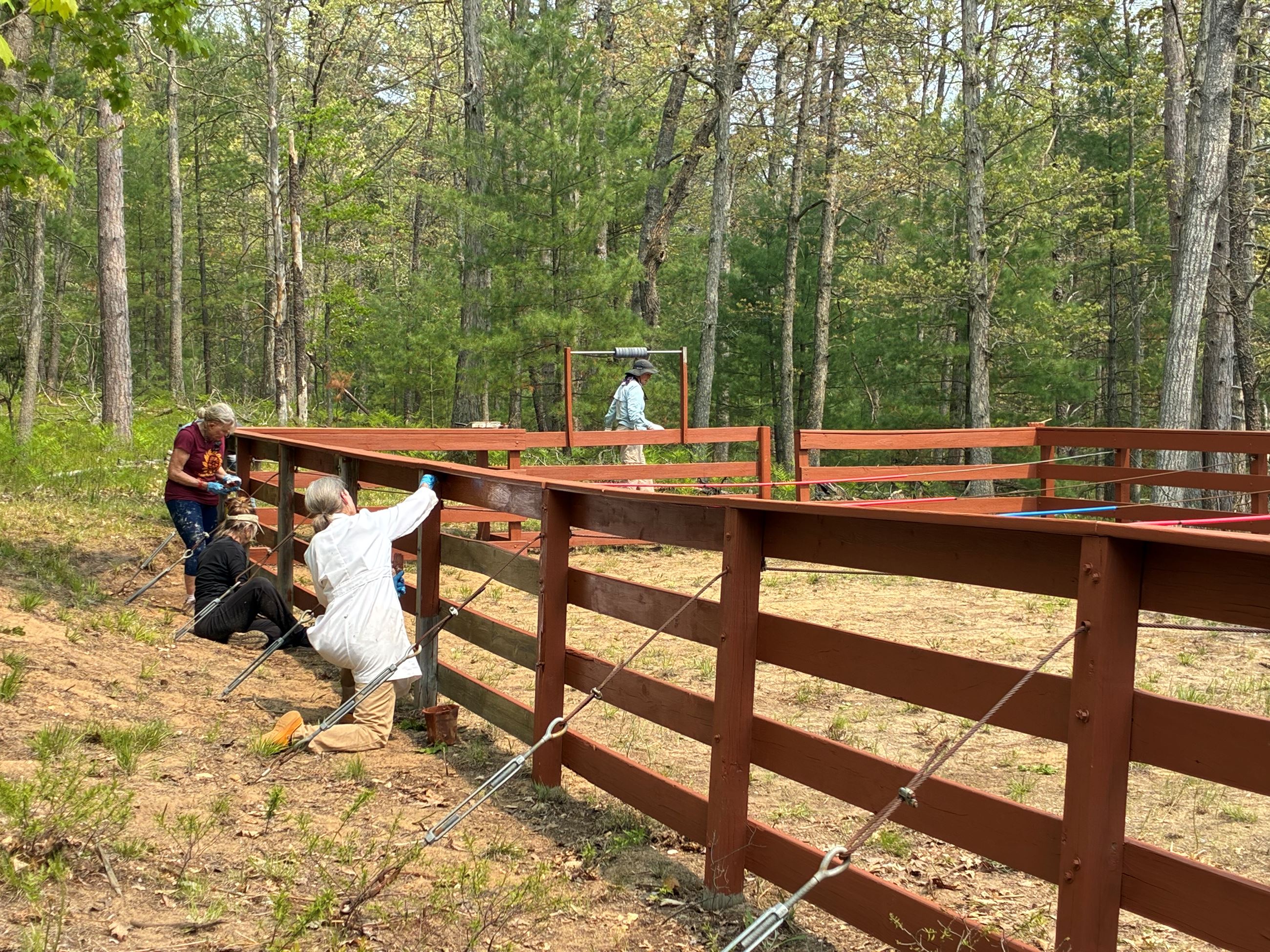 7. Sisterhood event 6.2